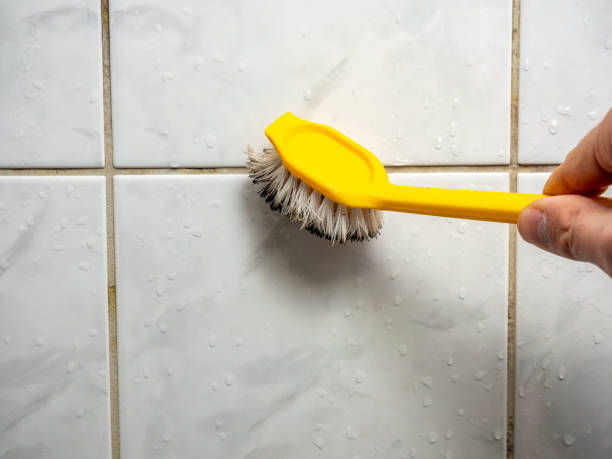 Best Residential Mold Removal  in Lake Sarasota, FL