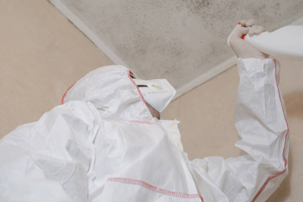 Best Professional Mold Removal  in Lake Sarasota, FL